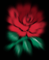 England Rugby